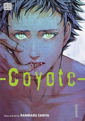 Coyote, Vol. 1 - Paperback